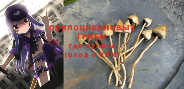 индика Алексеевка