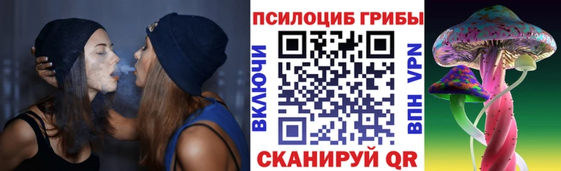 Псилоцибиновые грибы Magic Shrooms  omg ТОР  мориарти телеграм  Зуевка 